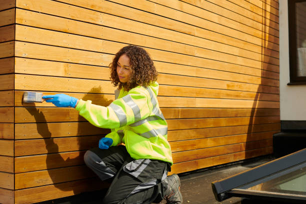 Best Stucco Siding  in Brunswick, GA