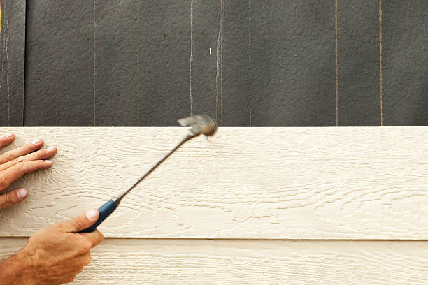 Best Siding for New Construction  in Brunswick, GA